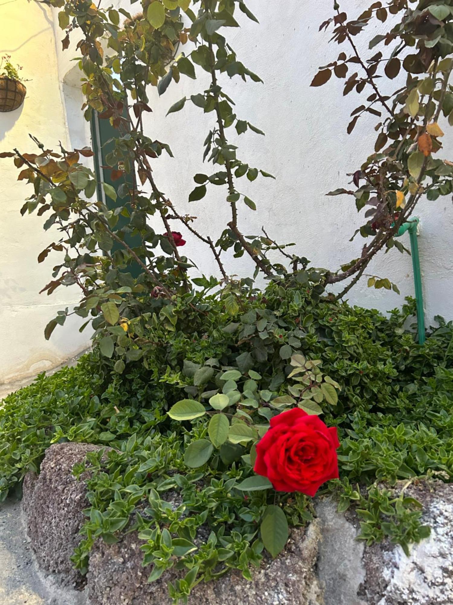 Casa Rural El Pasil Arona  Εξωτερικό φωτογραφία